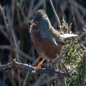 prise-de-vue-sans-titre-8268-standard-5ksv26.jpg