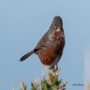 prise-de-vue-sans-titre-8302-standard.jpg