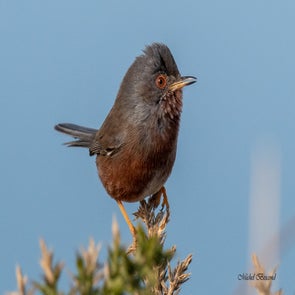 prise-de-vue-sans-titre-8305-standard.jpg