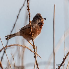 prise-de-vue-sans-titre-8311-standard.jpg