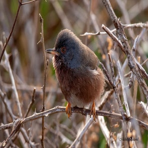 prise-de-vue-sans-titre-8336-standard.jpg