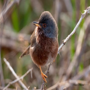 prise-de-vue-sans-titre-8348-standard.jpg