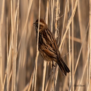 prise-de-vue-sans-titre-9158-standard.jpg