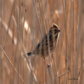 prise-de-vue-sans-titre-9166-standard.jpg