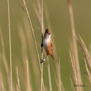prise-de-vue-sans-titre-9201-standard.jpg