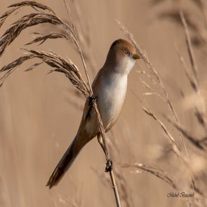 prise-de-vue-sans-titre-9221-standard.jpg