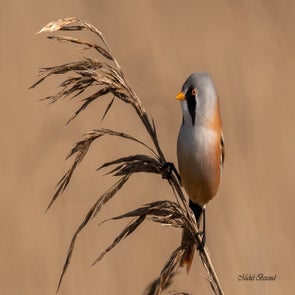 prise-de-vue-sans-titre-9228-standard.jpg