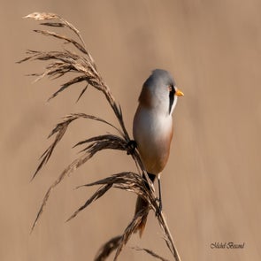 prise-de-vue-sans-titre-9232-standard.jpg