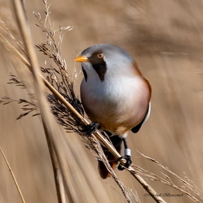 prise-de-vue-sans-titre-9245-standard.jpg