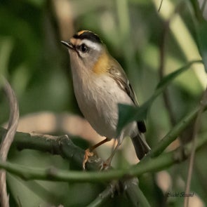 prise-de-vue-sans-titre-9321-standard.jpg
