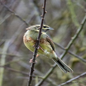 prise-de-vue-sans-titre-9548-standard-jyqli9.jpg