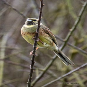 prise-de-vue-sans-titre-9550-standard.jpg