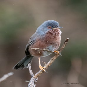 prise-de-vue-sans-titre-9679-standard.jpg