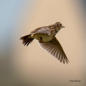 prise-de-vue-sans-titre-9839-standard.jpg