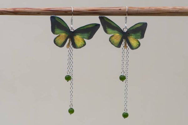 Exotische Schmetterling-Ohrringe grün/schwarzen