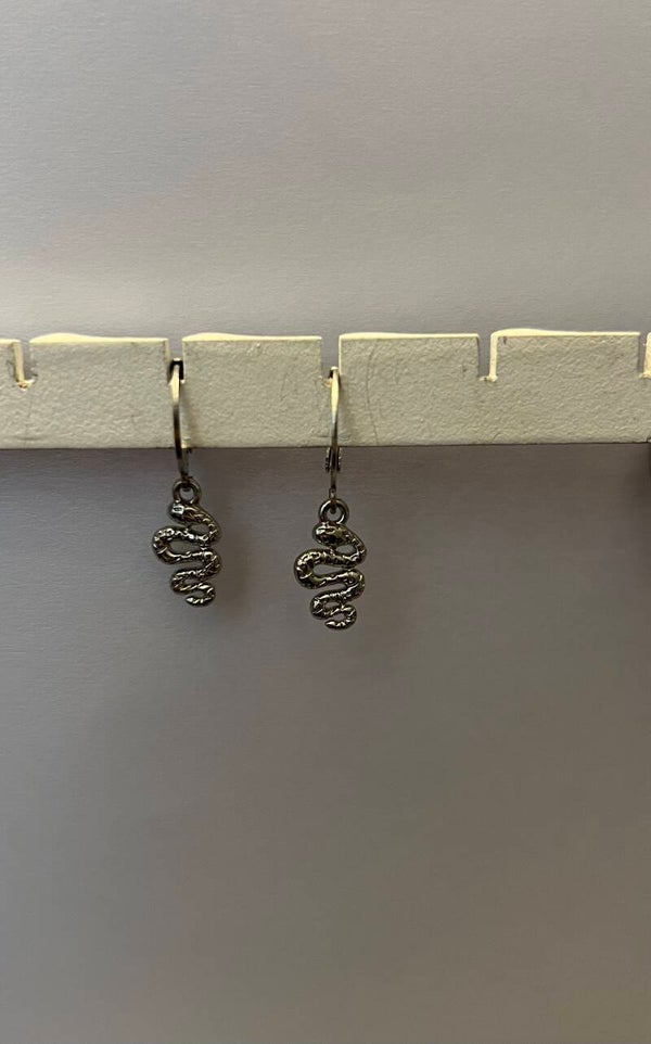 Zilveren oorbellen slang