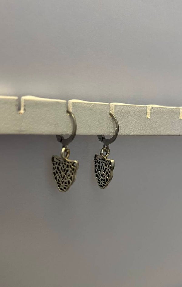 Oorbellen met panter kopjes