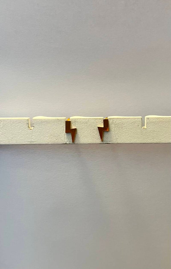 Oorbellen goud flits