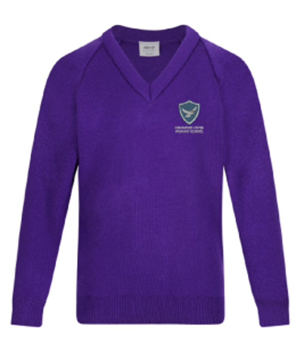 V Neck Jumper with logo