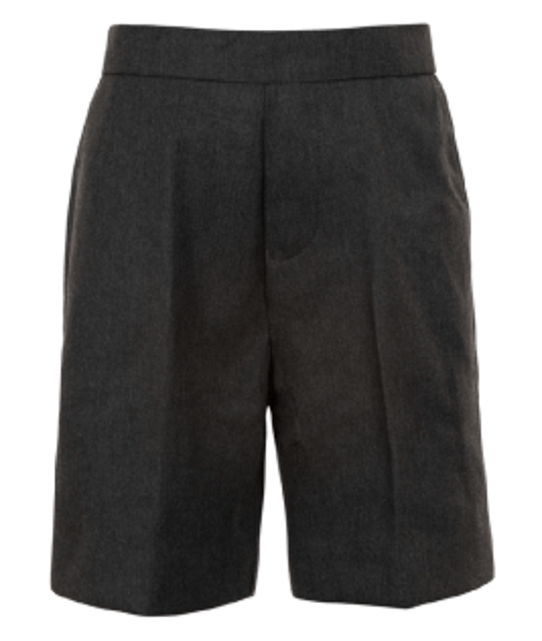 Boys Grey School Shorts/Trousers