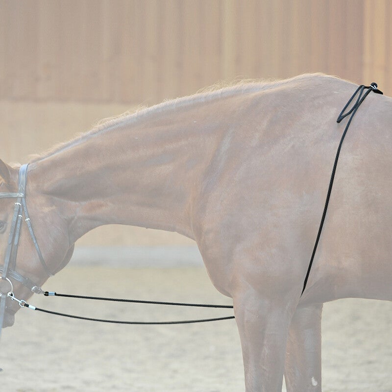 Aide à la longe HO (TU)