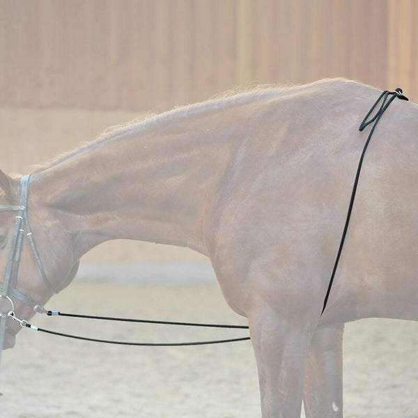 Aide à la longe HO (TU)