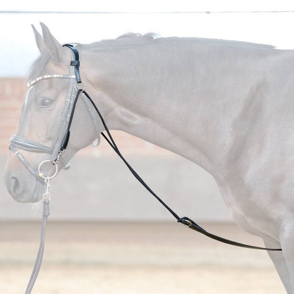 Gogue pour travail à la longe