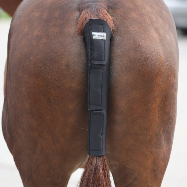 Protection de queue - néoprène