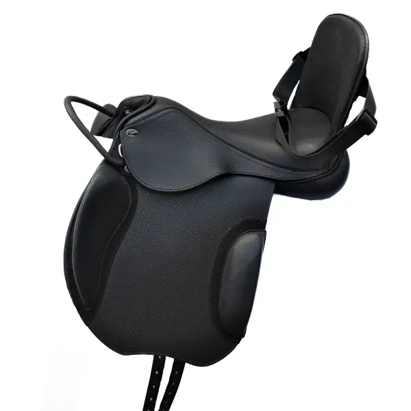 Bardette Guy Cantin Dressage Handi