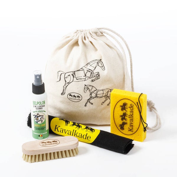 Kit d'entretien pour chaussures et cuir