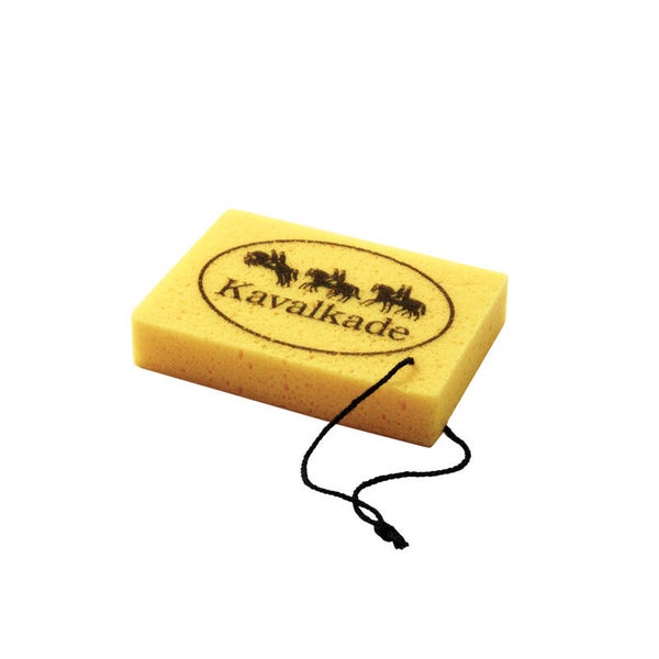 Eponge à cirer pour entretien du matériel