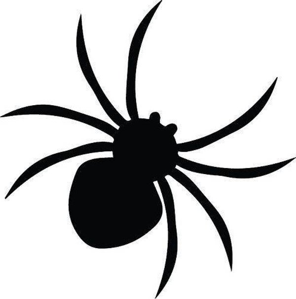 Araignée modèle 1