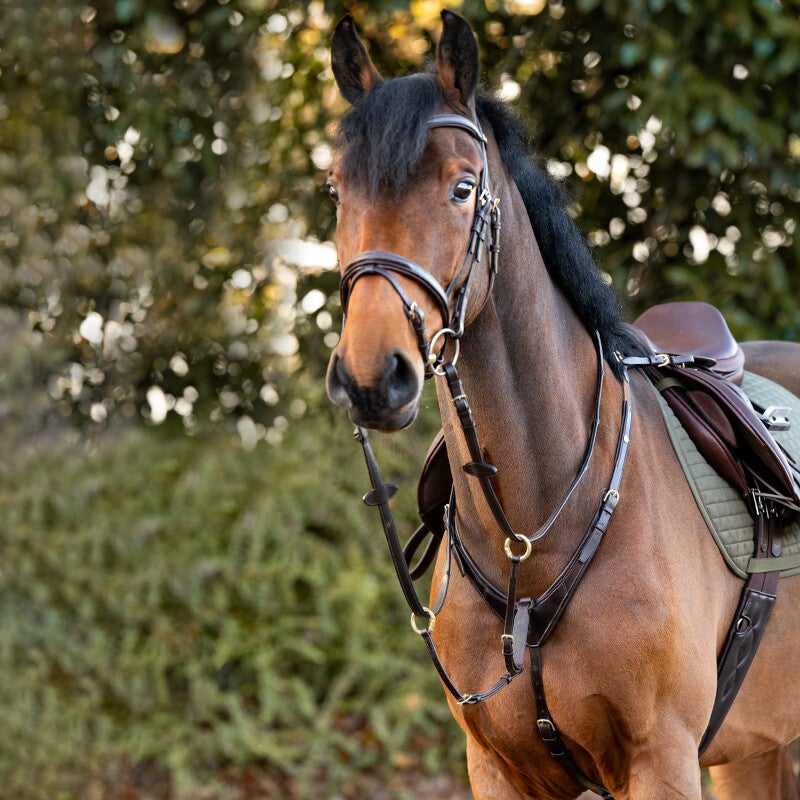 Collier de chasse ROBIN