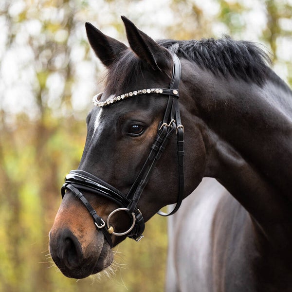 Bridon ZORA Kaval SH4