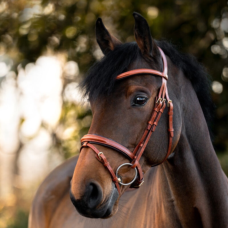 Bridon ROBIN Kaval SH4