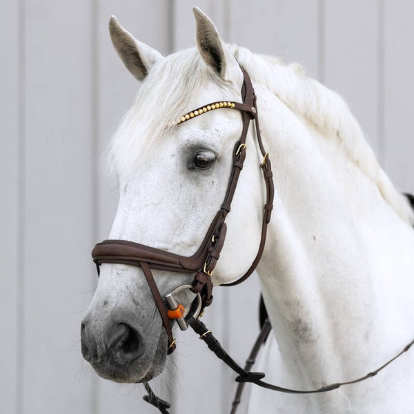 Bridon CALIANO Kaval SH4