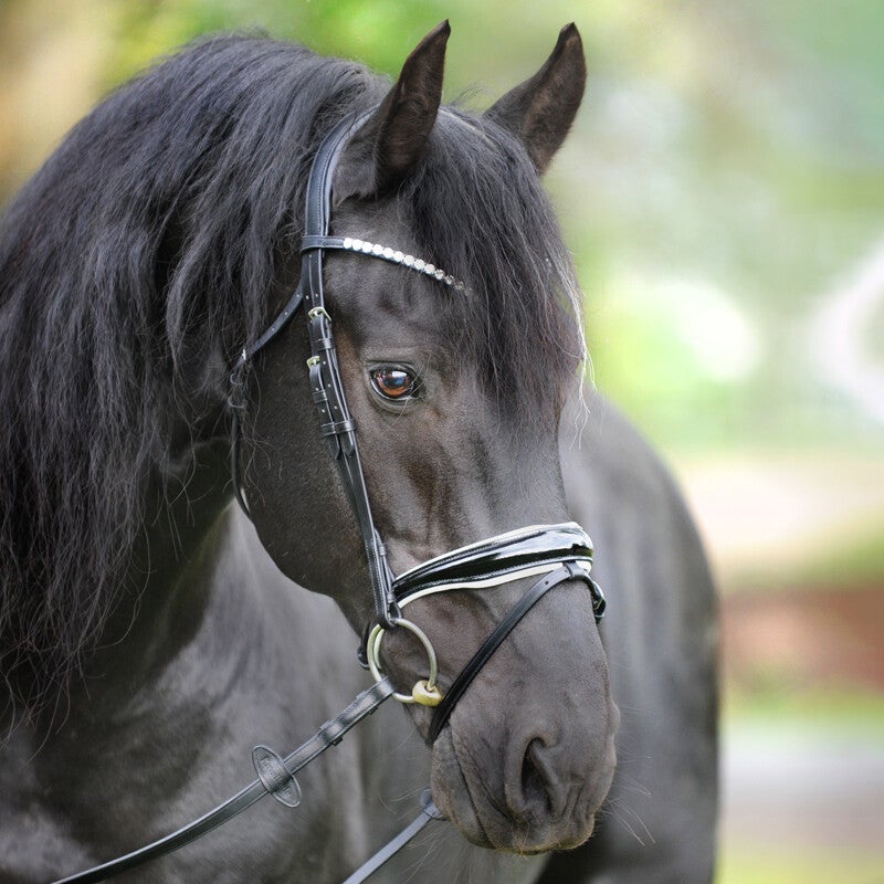 Bridon JULIANA Kaval SH4 + rênes