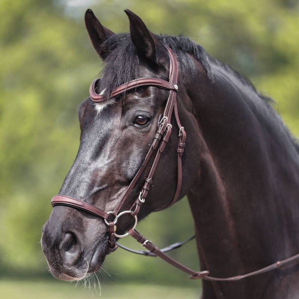 Bridon EVERANA + rênes