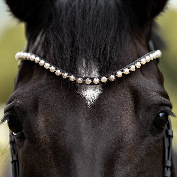 Frontal PEARL