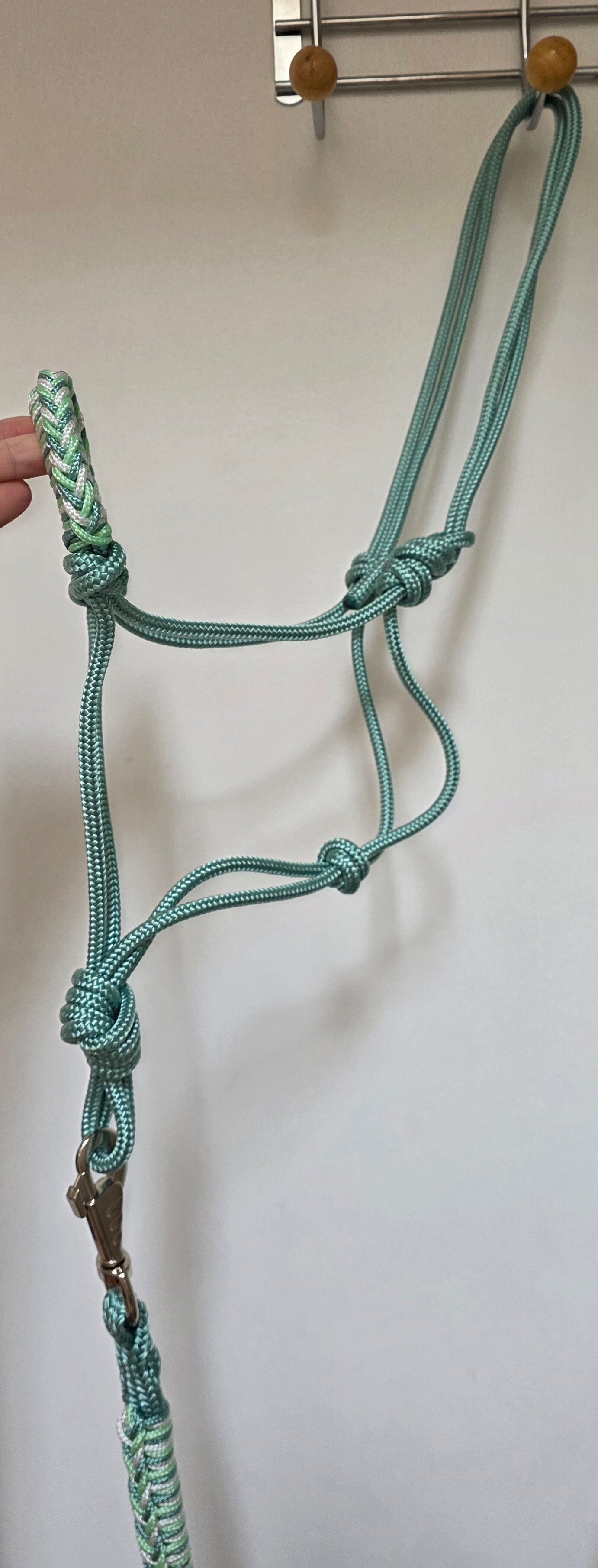 Licol éthologique bleu vert COB