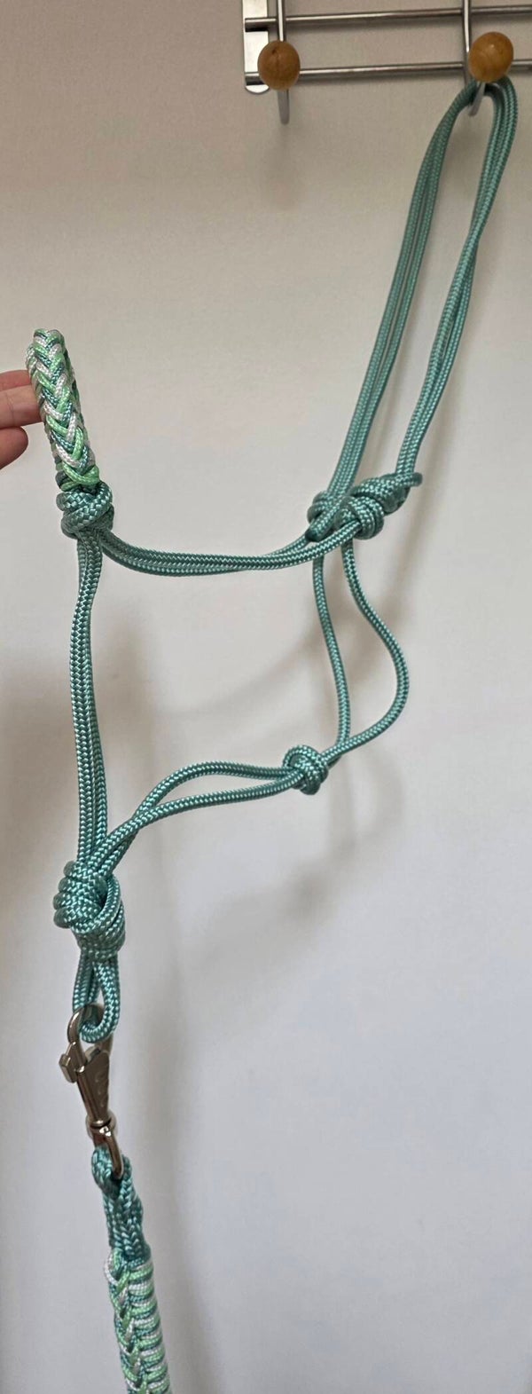 Licol éthologique bleu vert COB