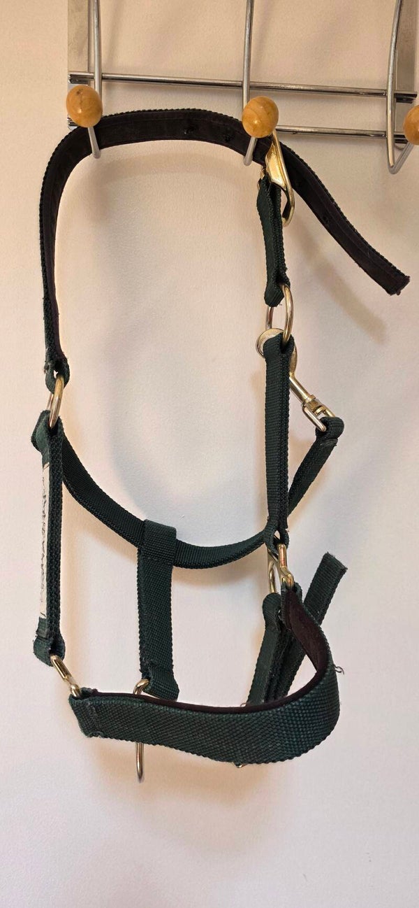 Licol T.Pony Ireland Horseware