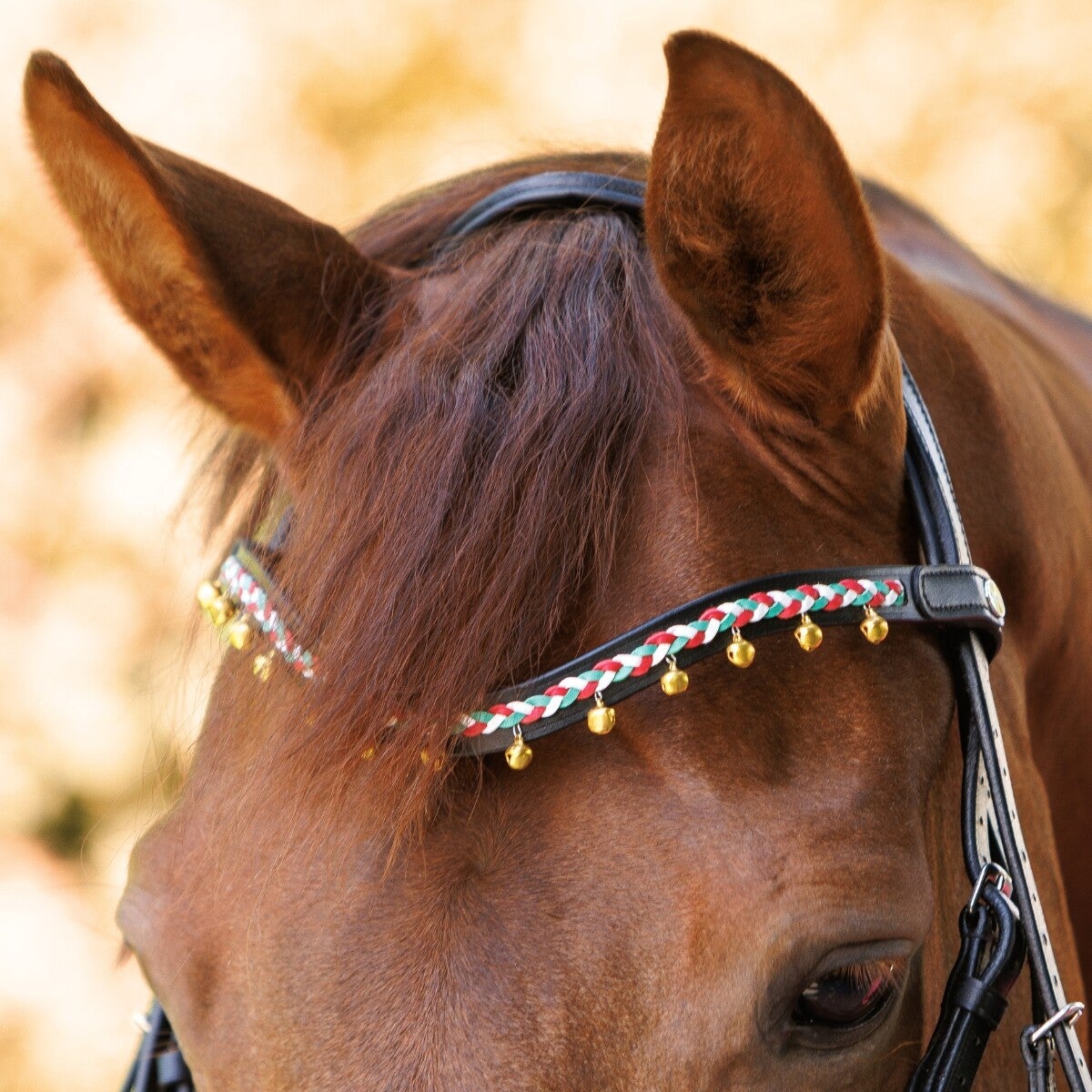 Frontal « Jingle Bell »