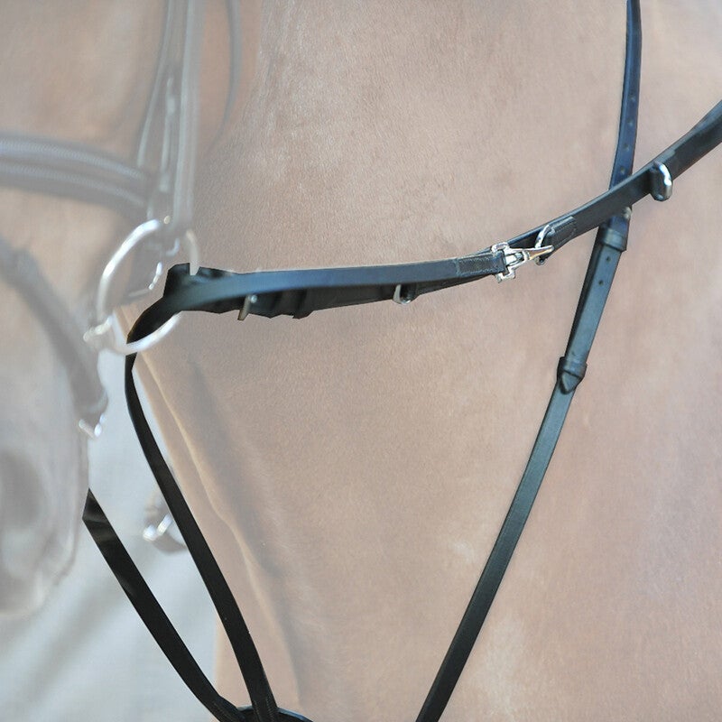 Rênes Thiedemann/Köhler