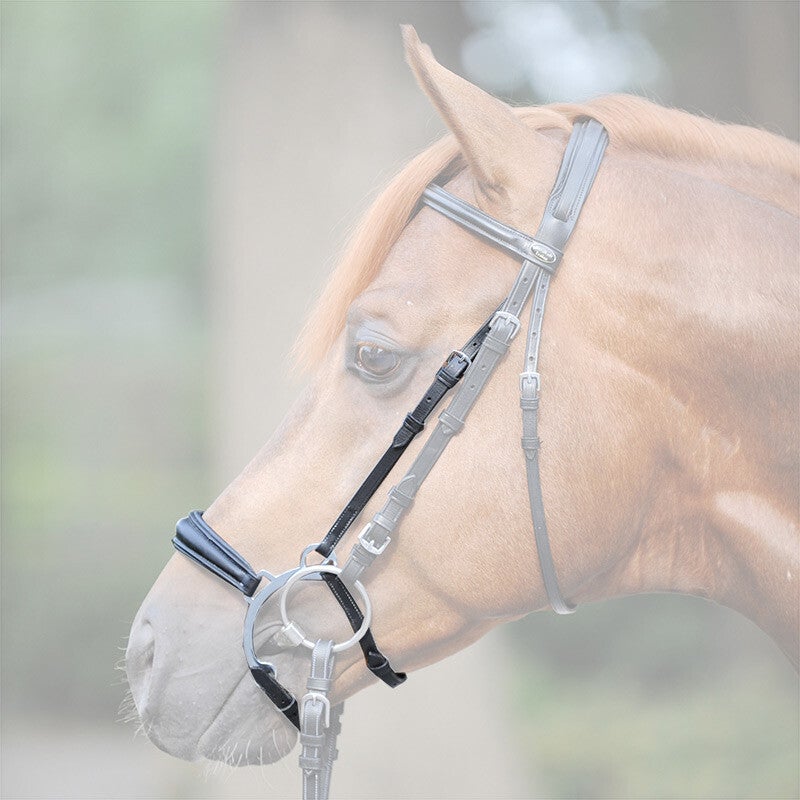 Muserolle + Montants à étriers