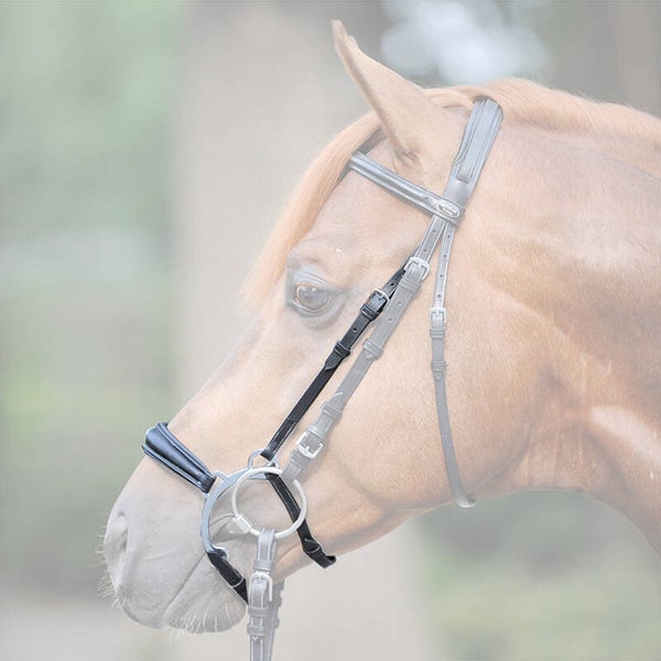 Muserolle + Montants à étriers