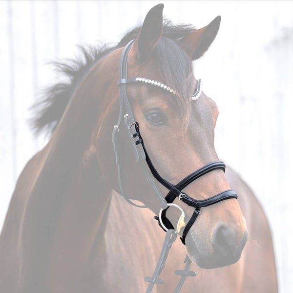 Muserolle + Montants DUPLEX anglaise avec sangle hanovrienne