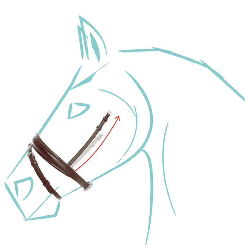 Muserolle + Montants combinés KavalSH4 « Cre8 » taille spéciale