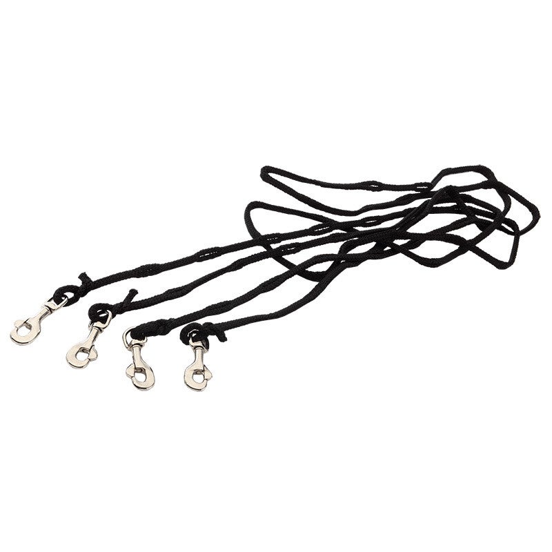 Rênes Phillips EASY