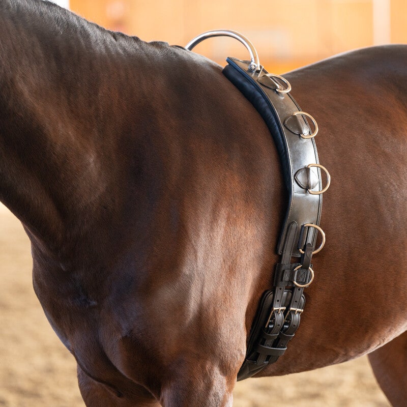 Surfaix avec support flexible TU